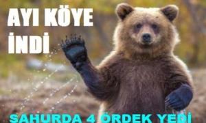 Ay� sahurda k�ye indi