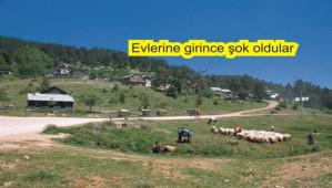 TAM B�R HAYAL KIRIKLI�I