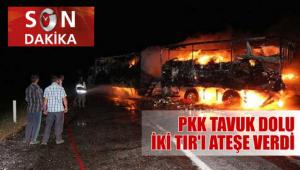 BEYP�L��'�N TIRLARINI YAKTILAR