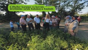 Bebek Meyve Orman� tam not ald�