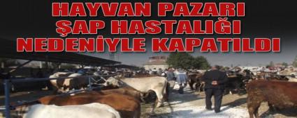 HAYVAN PAZARI �AP HASTALI�INA KAR�I KAPATILDI