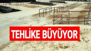 �ap hastal��� yay�l�yor