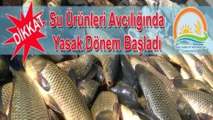 Yasak d�nem ba�lad�
