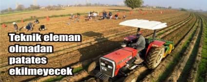 �N�NE GELEN PATATES EKEMEYECEK!