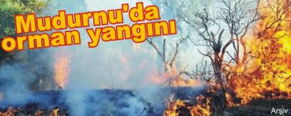 Mudurnu'da orman yang�n�
