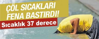 Bolu'da hava s�cakl��� 37 dereceye ula�t�