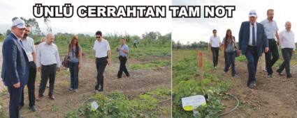 BEBEK MEYVE ORMANI'NA �NL� CERRAHTAN TAM NOT