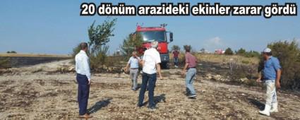 G�yn�k'te bu�day tarlas�nda yang�n