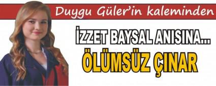 �ZZET BAYSAL ANISINA�