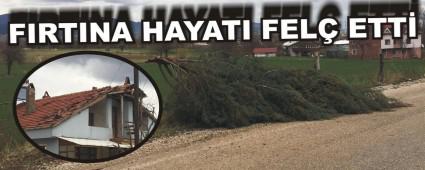 FIRTINA HAYATI FEL� ETT�