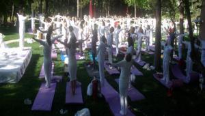 ABANT'TA  YOGA FEST�VAL�