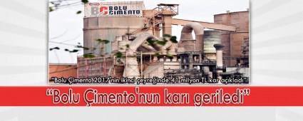 Bolu �imento'nun kar� geriledi
