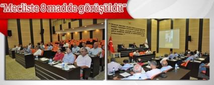 Mecliste 8 madde g�r���ld�