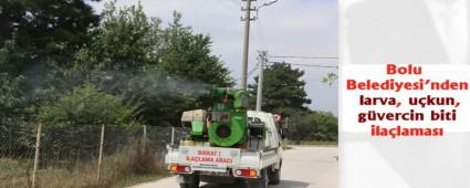 Bolu Belediyesi'nden larva, u�kun ve g�vercin biti ila�lamas�