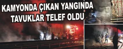 KAMYONDA �IKAN YANGINDA TAVUKLAR TELEF OLDU