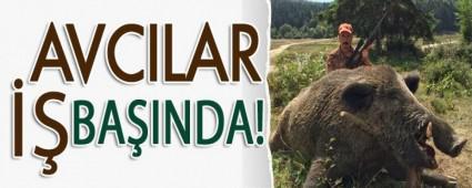 AVCILAR �� BA�INDA