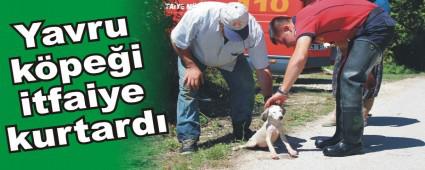 Yavru k�pe�i itfaiye kurtard�