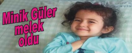 Minik G�ler melek oldu