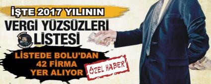 ��TE 2017 YILININ VERG� Y�ZS�ZLER�