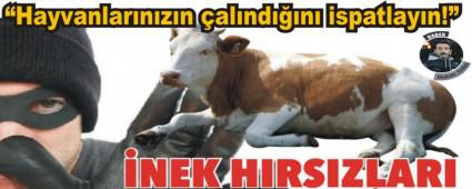 AT YAYLASINDA HIRSIZLAR C�R�T ATIYOR