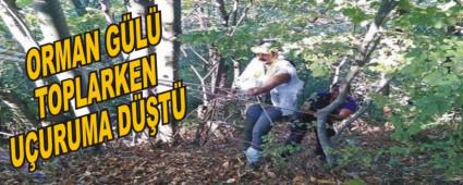 ORMAN G�L� TOPLARKEN U�URUMA D��T�