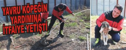YAVRU K�PE��N YARDIMINA �TFA�YE YET��T�