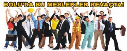 BOLU'DA BU MESLEKLER REVA�TA!