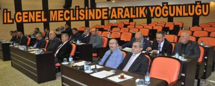 �L GENEL MECL�S�NDE ARALIK YO�UNLU�U
