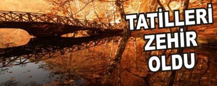 TAT�LLER� ZEH�R OLDU