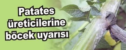Patates �reticilerine b�cek uyar�s�