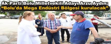 �Bolu'da Mega End�stri B�lgesi kurulacak�