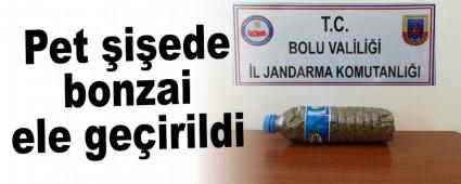 Pet �i�ede bonzai ele ge�irildi
