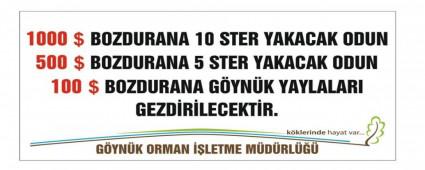 DOLAR BOZDURANA ODUN HED�YE