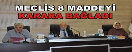MECL�S 8 MADDEY� KARARA BA�LADI