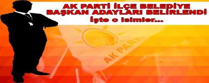 Ak Parti �l�e belediye ba�kan adaylar� belirlendi