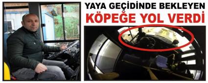 YAYA GE��D�NDE BEKLEYEN K�PE�E YOL VERD�