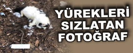 Y�REKLER� SIZLATAN FOTO�RAF