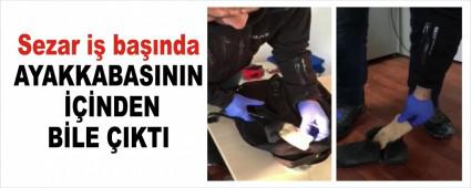 Sezar i� ba��nda
