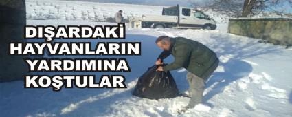 DI�ARDAK� HAYVANLARIN YARDIMINA KO�TULAR