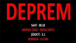 G�NE 3.1 ��DDET�NDE DEPREMLE UYANDIK