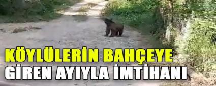 K�YL�LER�N BAH�EYE G�REN AYIYLA �MT�HANI