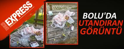BOLU\'DA UTANDIRAN G�R�NT�