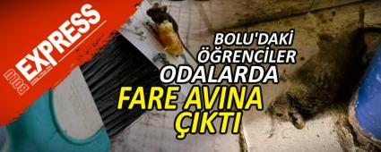 BOLU\'DAK� ��RENC�LER ODALARDA FARE AVINA �IKTI