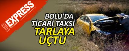 BOLU\'DA T�CAR� TAKS� TARLAYA U�TU