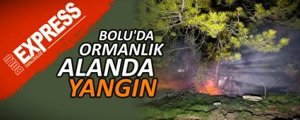 BOLU\'DA ORMANLIK ALANDA YANGIN