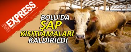 BOLU\'DA �AP KISITLAMALARI KALDIRILDI