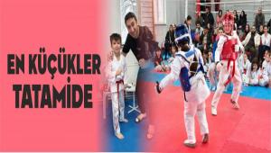 TATAM�DE M�N�K ADIMLAR