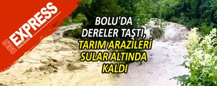 BOLU'DA DERELER TA�TI, TARIM ARAZ�LER� SULAR ALTINDA KALDI