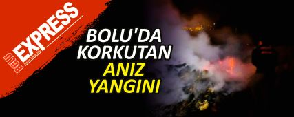 BOLU'DA KORKUTAN ANIZ YANGINI