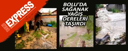 BOLU'DA SA�ANAK YA�I� DERELER� TA�IRDI